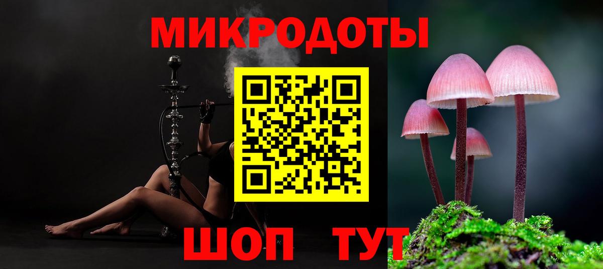 Псилоцибиновые грибы мицелий Зеленодольск